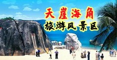 二级日P黄片爽片海南三亚-天崖海角旅游风景区